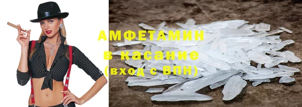 прущие грибы Волосово