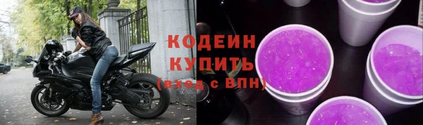 прущие грибы Волосово