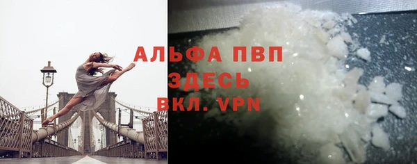 прущие грибы Волосово