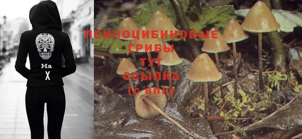 прущие грибы Волосово