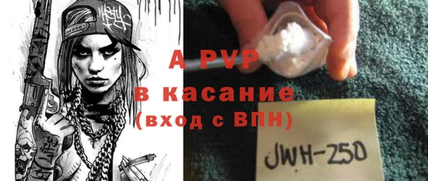 прущие грибы Волосово