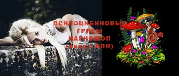 прущая мука Володарск