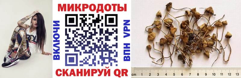 Псилоцибиновые грибы мицелий  Раменское 