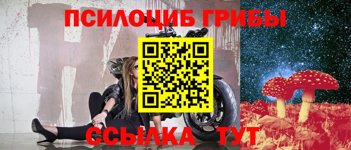 магазин  наркотиков  Псилоцибиновые грибы Magic Shrooms  Вход с VPN  Псилоцибиновые грибы MAGIC MUSHROOMS  Раменское 